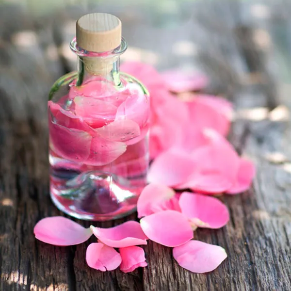 Розовая вода: полезные свойства и применение