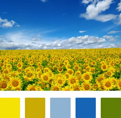 Сочетания желтого и синего цветов внутри