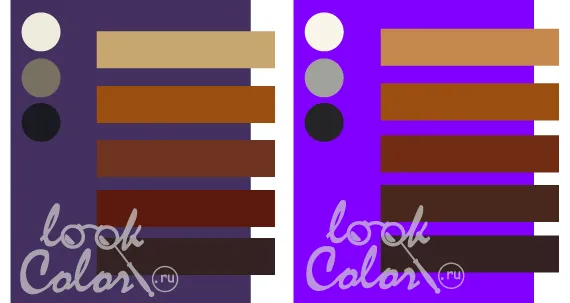 Средний и глубокий фиолетовый в смеси с коричневым