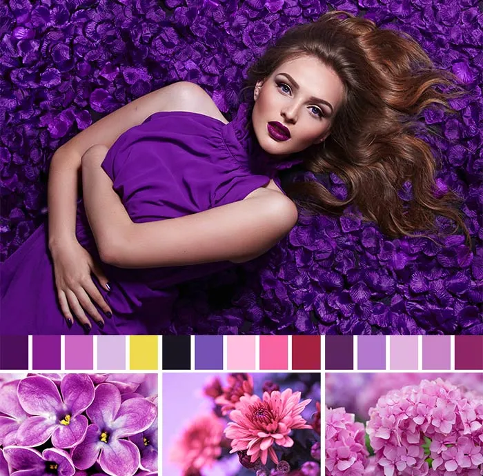 Фиолетовая одежда - палитра
