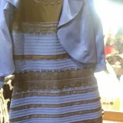 Это платье - бело-золотое или иссиня-черное?