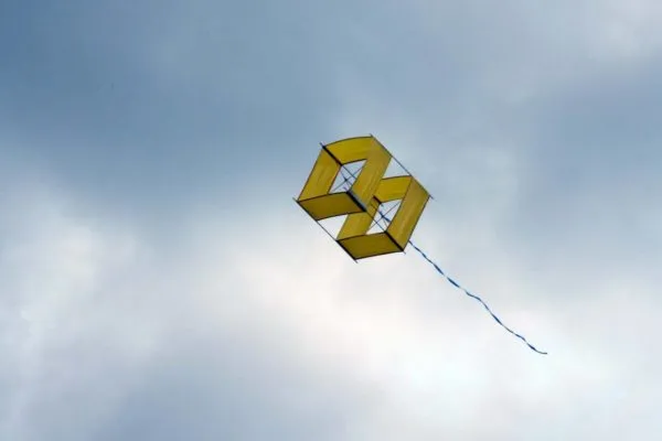 Объемный воздушный змей box kite