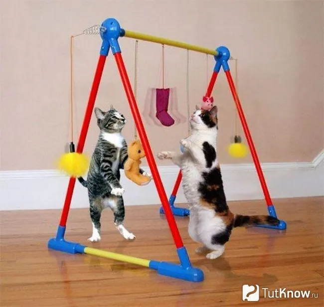 Различные подвесные игрушки для кошек