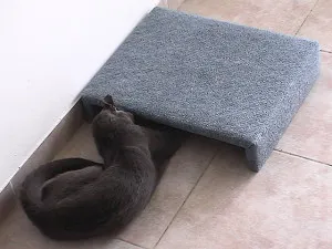 Кошка и мышка - играйте под диваном