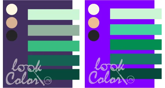 Средний пурпурный/фиолетовый/фиолетовый с холодным зеленым цветом