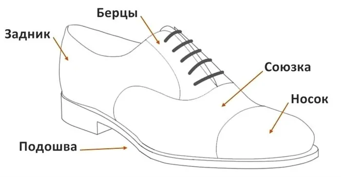 Особенности строения классической обуви - фото