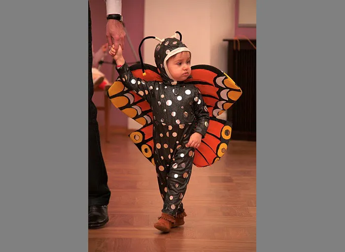 костюм бабочки