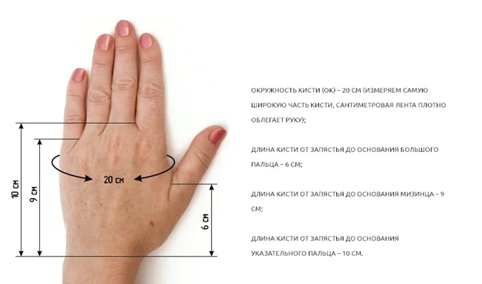 Схема основных параметров при снятии мерок руки