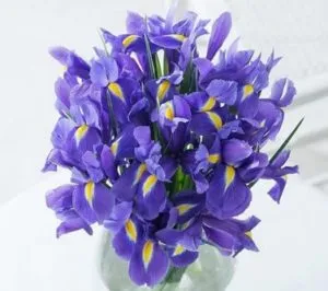 необычные синие цветы в прозрачном стакане