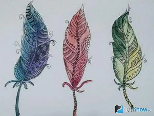 Три пёрышка, нарисованные акварелью в стиле зентангл