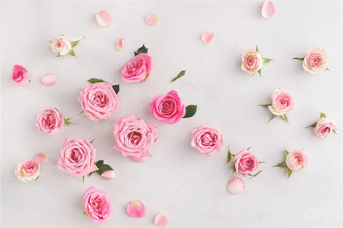 Роза - не только замечательный цветок, но и сырье для изготовление гидролата