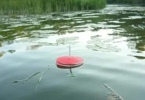 Ловля щуки на кружки на озерах и реках — видеообзор