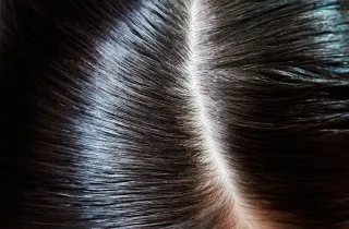 Правила применения масля мяты для волос