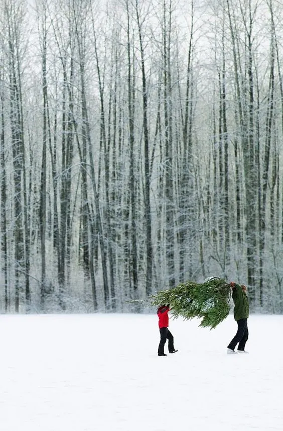 креативна зйомка у зимовому лісі